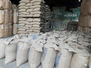 Wholesale Unroasted <b>Robusta</b> <b>Coffee</b> <b>Beans</b> Premium Grade Natural Process Bulk ExporterExport Grade Green <b>Coffee</b> <b>Bean</b> - Product Image 3
