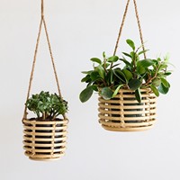 Pots de fleurs biodégradables écologiques 100%, paniers suspendus, jardinières modernes suspendues