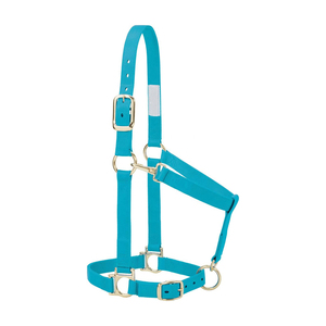Harnais de cheval en nylon bleu avec quincaillerie en laiton, ajustement réglable pour usage équestre - Product Image 5