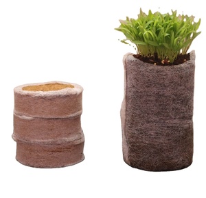 EXPORTATEURS DE COIR PITH DISC - Product Image 3