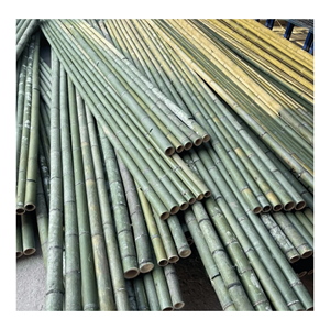 Poteau en bambou naturel, fabriqué à partir de bambou naturel pour le soutien de la construction et la fabrication de cadres de meubles au Vietnam. - Product Image 2