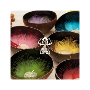 FAVORI DES CLIENTS Bol en Coque de Noix de Coco Écologique Finition Soignée pour Servir des Desserts et Présenter des Aliments Vaisselle Réutilisable B2B - Product Image 1