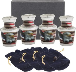 Juego de 4 Urnas de Cremación American Eagle Plateadas para Adultos, Recipiente para Cenizas Conmemorativas, Urna Clásica de Recuerdo con Bolsa Gratis - Product Image 1