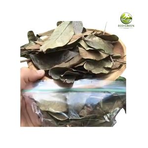 Fournisseur Vietnamien de Feuilles de Graviola Séchées, Feuilles de Corossol, Thé Herbal, OEM, Marque Privée - Product Image 3