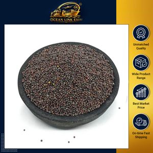 Graines de moutarde noire entières brutes, épice naturelle de qualité alimentaire, herbes et épices simples - Product Image 2