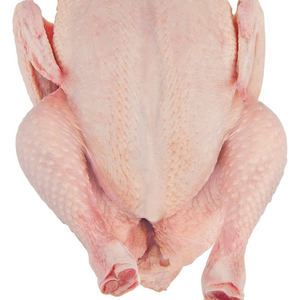 ไก่ทั้งตัวแช่แข็ง ทำความสะอาดแล้ว พร้อมสำหรับการแปรรูป - Product Image 5