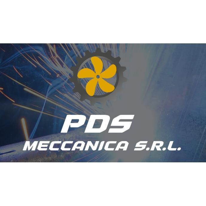 PDS MECCANICA S.R.L. logo