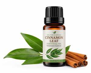 Aceite Esencial de Hoja de Canela 99.5% Puro y Natural (Cinnamomum Cassia) Destilado al Vapor en India, Aroma Especiado Herbal para Aromaterapia y Cuidado de la Piel - Product Image 1
