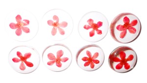 Viola Herb Flower - Espécimen de Planta Real en Cabujón de Plástico Redondo de 35x35 mm con Base Plana Transparente para Manualidades y Joyería - Product Image 6