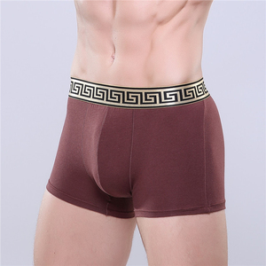 Boxers pour hommes de Great Factory, sous-vêtements de créateurs, boxers confortables pour hommes, caleçons pour hommes - Product Image 4
