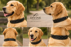 ปลอกคอสุนัขหนังแท้ทำมือพร้อมลายเย็บประณีต ผู้ผลิตฉลากส่วนตัวจาก Divine International - Product Image 4
