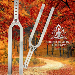 Diapasón gigante con forma de llave de ADN en U – Frecuencia de doble cara D 528Hz y A 432Hz (Tamaño grande) - Product Image 1