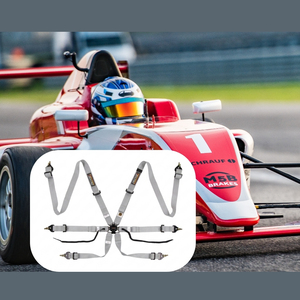เข็มขัดนิรภัยสำหรับรถแข่ง TBRACING Sport Plus ได้รับการรับรองจาก FIA ผลิตตามสั่ง ขายส่งจากโรงงาน พร้อมห่วงจับ OEM ODM - Product Image 3