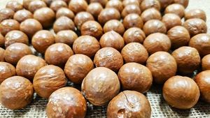 Fabriqué au Vietnam Qualité supérieure Offre spéciale Macadamia en haute saison Prix et qualité 5kg - Product Image 2