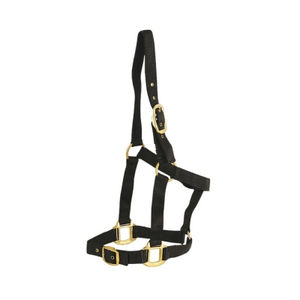 Cuerda para Caballo, Halter Transpirable Compatible con Silla de Montar Occidental, Accesorios Equinos de Nailon Amarillo - Product Image 3