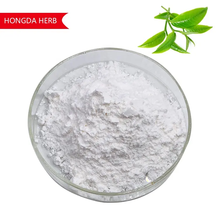 Green Tea Extract 98% Natural L-theanine Powder 40% 3081-61-6 L-theanine