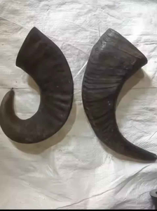 Juguetes Masticables para Mascotas, Duraderos y Ecológicos, de Cuerno de Búfalo, Alimentos Naturales para Masticar, Proveedor de la India - Product Image 3