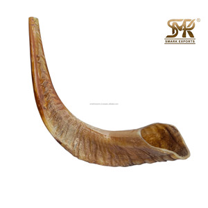 Corne de bélier naturelle authentique Shofar pour les cérémonies traditionnelles de culte Pratiques spirituelles et pièces de présentation de collection - Product Image 5