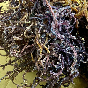 Musgo Marino Morado de Alta Calidad 100% Natural Musgo Marino Americano Musgo Irlandés de Vietnam/ Sra. Lima - Product Image 1