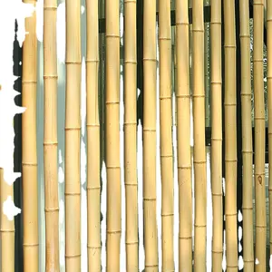 Poste de bambu de tamanho pequeno para decoração de jardim e agricultura, alta qualidade, vietnã, tamanho pequeno, alta qualidade