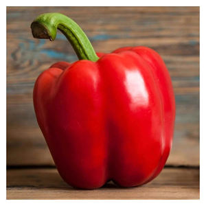 Pimiento rojo fresco para envasado minorista, marca privada, suministro a granel, calidad de exportación - Product Image 2