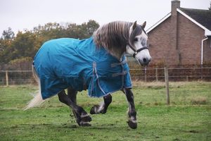 Winter Waterproof Wool Horse <b>Rugs</b> High Quality Luxury Personalized Customized Logo Equestrian Equipment with Nylon Lining - Product Image 2