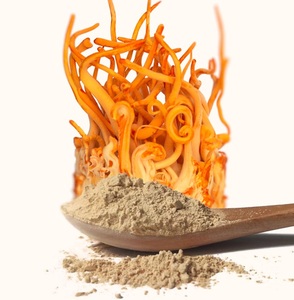 Poudre de Cordyceps 100% Biologique en Gros, Végétalienne, Sans OGM, Superaliment Herbal pour le Soutien Immunitaire et l'Énergie Naturelle, Approvisionnement en Vrac - Product Image 4