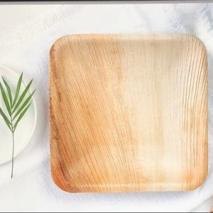 Natural Areca Palm Leaf 7 Inches Square Compostable Disposable Plates Biodegradable Engraved Catering Tableware for Fast Food - Product Image 1