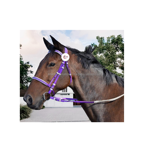 Brida de PVC Moral High Ground con productos de caballo de relleno suave disponibles - Product Image 1