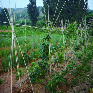 Fiberglass Garden Stakes Plant <b>Support</b> Rods, Flexible <b>Tomato</b> Cucumber Climbing Stakes for Wholesale - Product Image 4