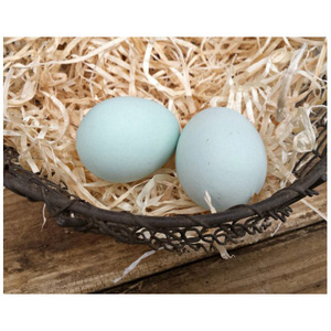 ไข่ไก่เปลือกขาวแบบมีสีสัน วางขายในราคาถูก - Product Image 5