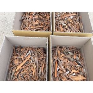 CANELA CASSIA DE GRADO SUPERIOR DE VIETNAM | CORTEZA DE CASSIA NATURAL DE ALTA CALIDAD | EXPORTACIÓN AL POR MAYOR - Product Image 3