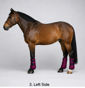 Nouvelles Bottes d'Équitation Tendance en Néoprène, Absorbant les Chocs, Respirantes, Durables, Protection des Jambes de Cheval, Service OEM - Product Image 4
