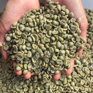 Vietnam Arabica Green Coffee <b>Beans</b> Screen Size 18 Vietnamese coffee Raw Bulk Wholesale Export Specialty Coffee Supplier - Product Image 1