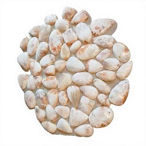 Zircon de laboratoire de qualité, Scholiersite, taille ovale, 20-45mm, cabochon non monté percé pour la fabrication de bijoux, prix de gros - Product Image 1