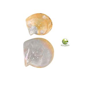 Jabonera de Concha de Perla 100% Natural Hecha a Mano, Plato de Concha Marina con Borde Dorado, Bandeja de Nácar de Lujo, Diseño Clásico, Ecológica - Product Image 5