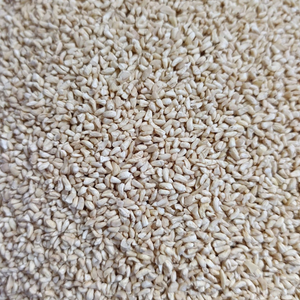 High Quality SANTIGO <b>Nuts</b> <b>Kernels</b> Kaju Cashew <b>Nuts</b> Broken Kaju FREE Sample - Product Image 1
