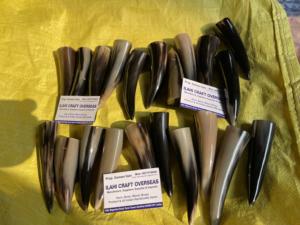 Pointe de corne de buffle naturelle, couleur naturelle, haute qualité - Product Image 6