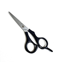 Ciseaux à cheveux droits de 5,25 pouces, ensemble de ciseaux de beauté en acier inoxydable VG10, lame polie miroir, pointe acérée, ergonomique pour droitiers, en plastique