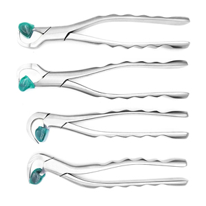 Ensemble de forceps dentaires manuels pour adultes, pinces orthodontiques, instruments chirurgicaux d'extraction dentaire, acier inoxydable, réutilisables, légers, CE - Product Image 1