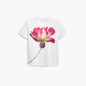 Camiseta Corta Blanca con Cuello Redondo para Mujer, Manga Corta, 100% Algodón Jersey, Estilo Minimalista, Corte Regular, para Todas las Temporadas - Product Image 6