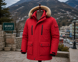 Veste d'hiver courte décontractée pour homme, parka à capuche en fausse fourrure, doudoune matelassée, fermeture éclair, polyester, coupe-vent, vêtements d'extérieur - Product Image 2
