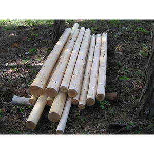 Troncos Redondos de Madera de Acacia al Precio Más Bajo, Troncos y Postes Pelados en Venta - Product Image 2