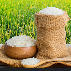 Riz Jasmin Blanc de Qualité Supérieure, Riz Basmati à Grains Longs, Emballages de 1kg, 5kg, 18kg, 28kg, 50kg, Excellent Rapport Qualité-Prix - Product Image 4