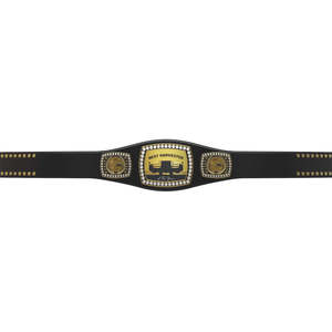 Cinturón de Campeonato al por Mayor, NUEVO Cinturón de Campeonato Mundial de Lucha Libre Ronpex International de Cuero y Latón/Zinc Personalizable - Product Image 1