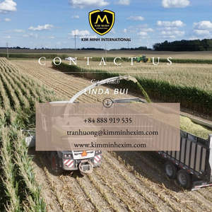 Silaje de Maíz de Alta Energía con Piel de Piña para Ganado Lechero y Bovino, Empaque Jumbo Bag de Kim Minh International - Product Image 6