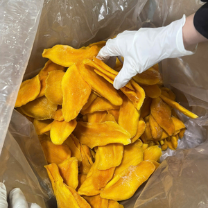 Mango Seco de Vietnam para Paquetes de Alimentos Temáticos de Horticultura y Suministros Profesionales para Pastelería 99 Gold Data - Product Image 1