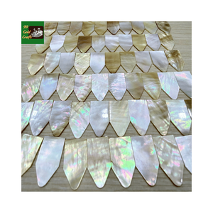 Pièces de nacre naturelle irisées hexagonales à dos plat pour la fabrication de bijoux - Product Image 1