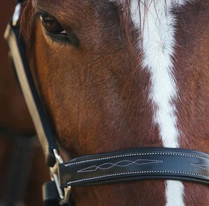 Nuevo diseñador Six Fancy Padded Halter-Latón Níquel Hardware Ajustable Horse Halter Hecho en India con cuero genuino 100% - Product Image 4