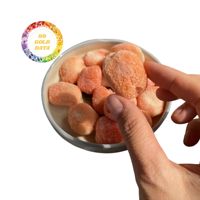 Best verkochte gevriesdroogde vruchten: banaan, mango, perzik, jackfruit, drakenvrucht, rambutan, vijg, ananas, aardbei, kiwi, durian, Vietnam.